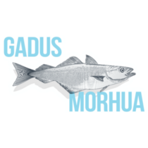 Gadus Morhua Sticker