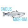 Gadus Morhua Sticker