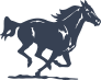 Galloping Horse Sticker