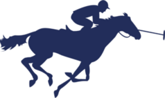Galloping Polo Player On Horse Sticker