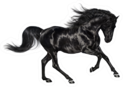 Galloping Shiny Black Andalusian Stallion Sticker