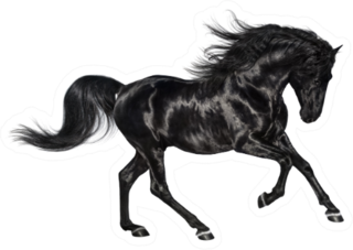 Galloping Shiny Black Andalusian Stallion Sticker