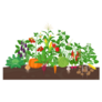 Garden With Vegetable Plants Growing Sticker