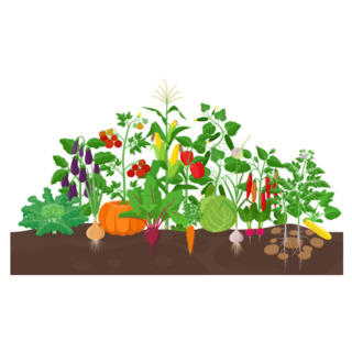 Garden With Vegetable Plants Growing Sticker