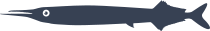 Garfish Fish Sticker