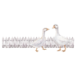 Geese By Fence Sticker