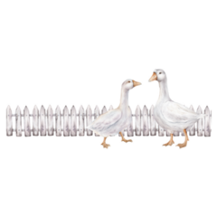 Geese By Fence Sticker