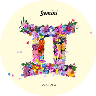 Gemini Pattern With Butterflies And Flowers Sticker
