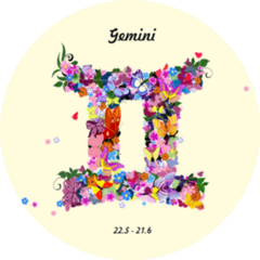 Gemini Pattern With Butterflies And Flowers Sticker