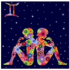 Gemini Symbol Colorful Flowers Starry Sky Sticker