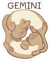 Gemini Twin Cats Sticker