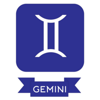 Gemini Zodiac Icon Sticker