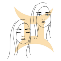 Gemini Zodiac Sign Beige Sticker