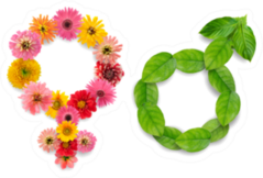 Gender Man And Women Symbol From Flowers And Leaves Sticker