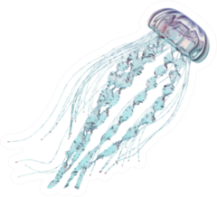 Gentle Jellyfish Isolated On White Sticker