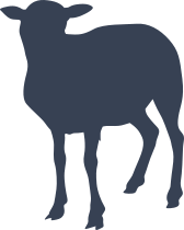 Gentle Sheep Lamb Sticker