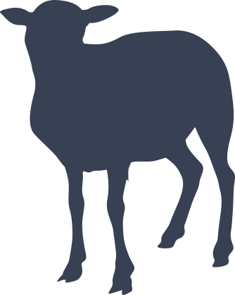 Gentle Sheep Lamb Sticker