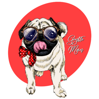 Gentleman Pug Sticker