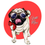 Gentleman Pug Sticker