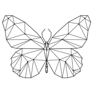 Geometric Butterfly Constellation Sticker