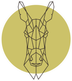 Geometric Head Of Donkey Illustration Sticker