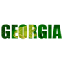 Georgia Lettering With Green Tree Frog Sticker