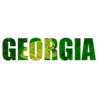 Georgia Lettering With Green Tree Frog Sticker