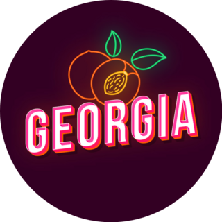 Georgia Peach Old School Style Neon Light Letters Sticker