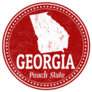 Georgia Peach State Outline Circle Sticker