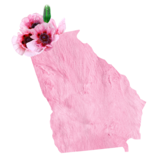 Georgia State Pink Fur Floral Sticker