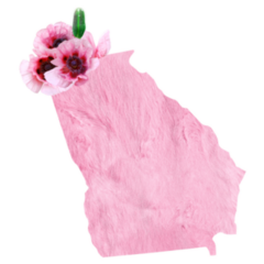 Georgia State Pink Fur Floral Sticker