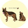 German Shepherd Growth Sticker