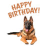 German Shepherd HBD Sticker