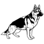 German Shepherd Illustration Sticker