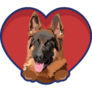German Shepherd In Heart Sticker