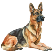 German Shepherd Laying Sticker