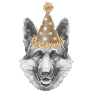 German Shepherd Party Sticker