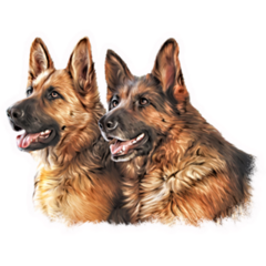 German Shepherds Sticker 