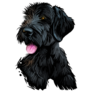 Giant Black Schnauzer Sticker