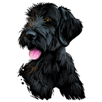 Giant Black Schnauzer Sticker