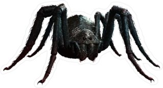 Giant Realistic Black Spider Sticker