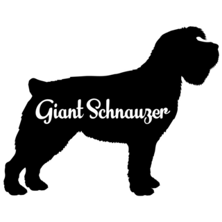 Giant Schnauzer Sticker