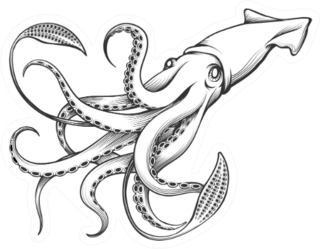 Giant Squid Drawn In Engraving Tattoo Style Sticker