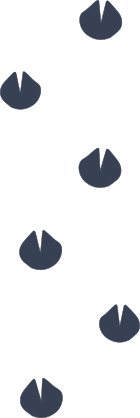 Giraffe Footprints Sticker