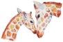 Giraffe Mother With Giraffe Baby Watercolor Sticker