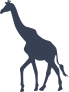 Giraffe Walking Silhouette Sticker