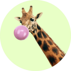 Giraffe With Bubble Gum On Green Sticker