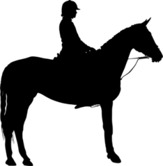 Girl Polo Player On Standing Horse Sticker