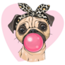 Girly Pug Bubble Gum Sticker