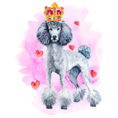 Glamorous Queen Poodle Sticker